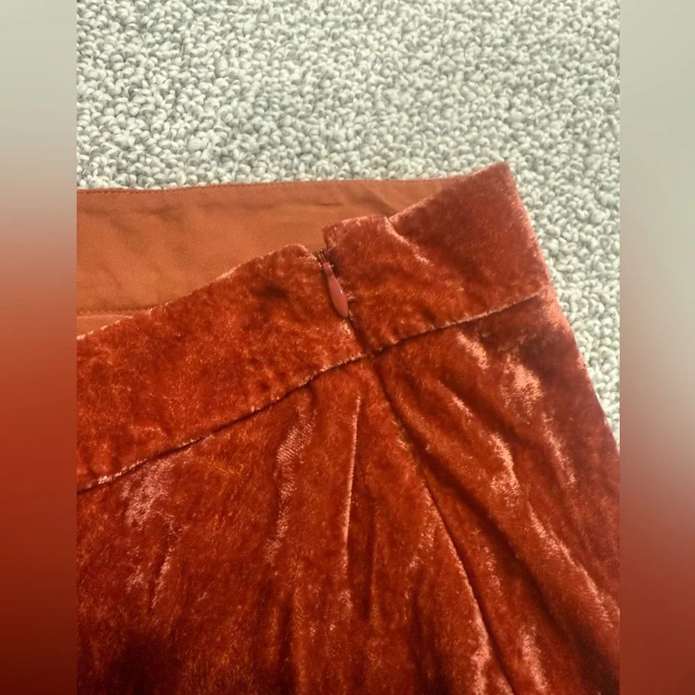 Velvet Anthropologie Maxi Skirt - Picture 4 of 6
